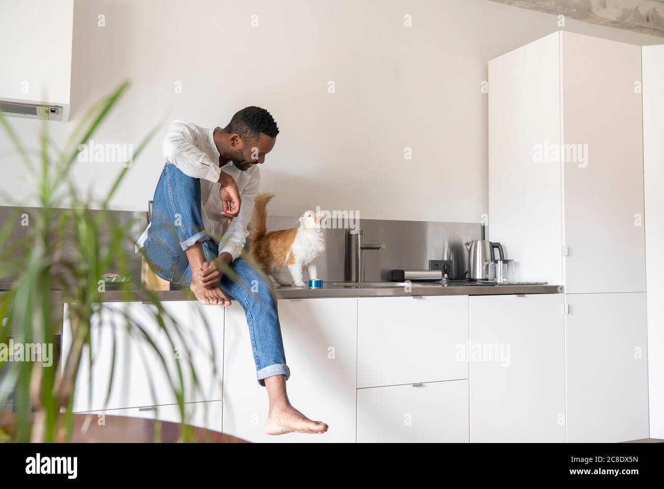 Mann, der zu Hause auf der Küchentheke sitzt und mit ihm spricht Kat Stockfoto