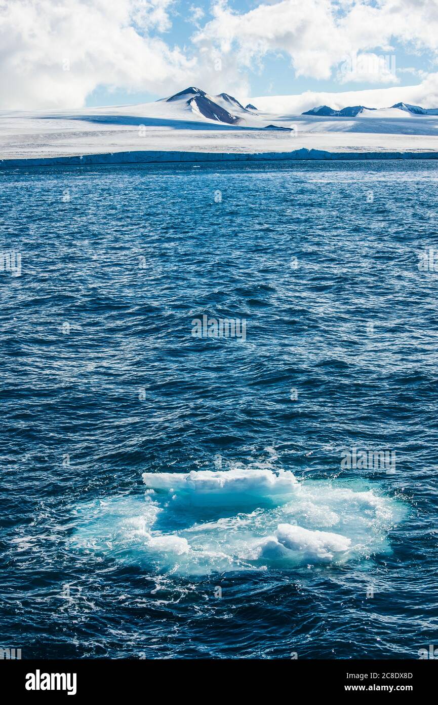 Eis schwimmt im Wasser mit Küste der Tabarin Halbinsel im Hintergrund Stockfoto