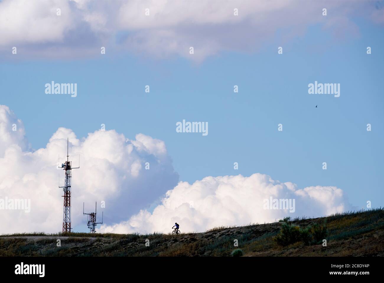 Silhouette Radfahrer Fahrrad fahren auf dem Feld gegen bewölkten Himmel Stockfoto