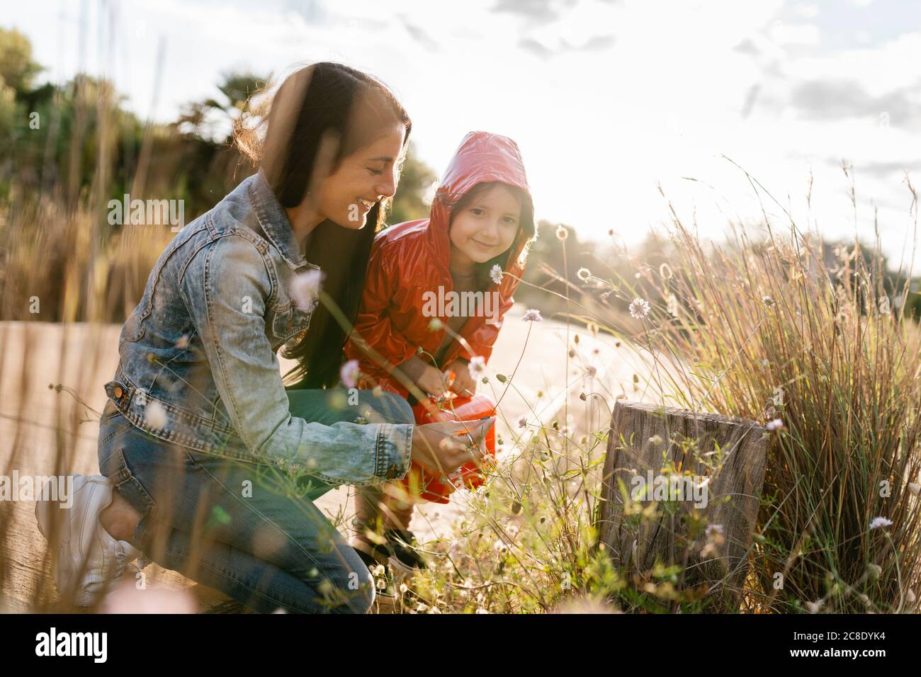 Mutter und Tochter pflücken wilde Blumen Stockfoto