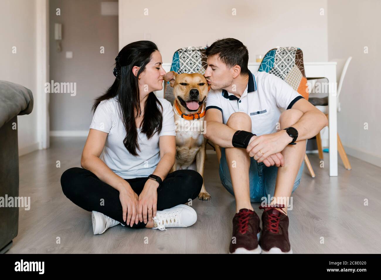 Paar küssen Hund während sitzen auf dem Boden zu Hause Stockfoto