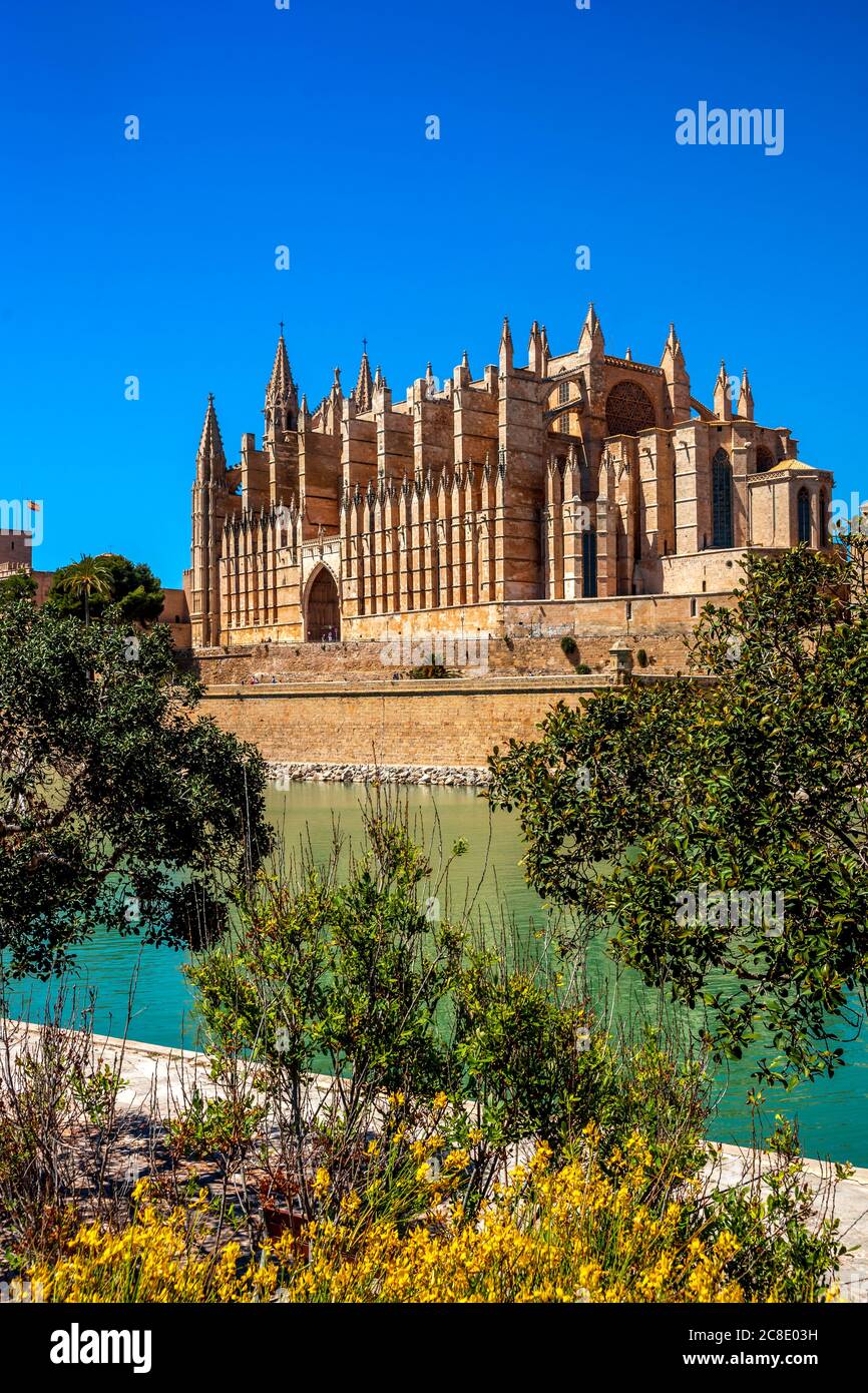 Spanien, Balearen, Palma de Mallorca, Palma Kathedrale an sonnigen Tag Stockfoto