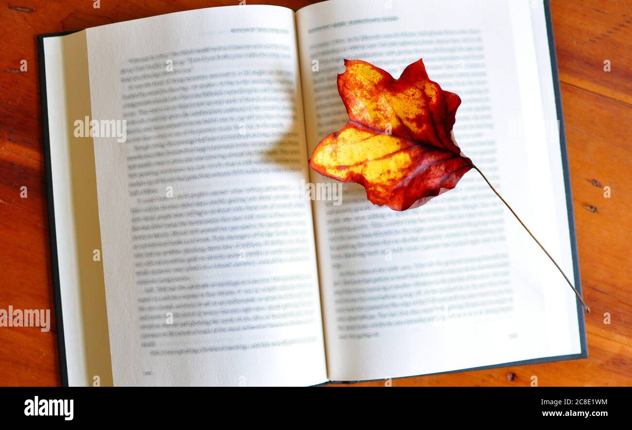Der Herbst geht zwischen den Seiten eines Buches Stockfoto