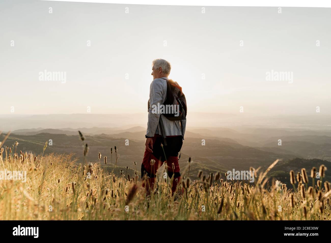 Aktiver älterer männlicher Wanderer, der auf dem Berg steht, während er anschaut Landschaft bei Sonnenuntergang Stockfoto