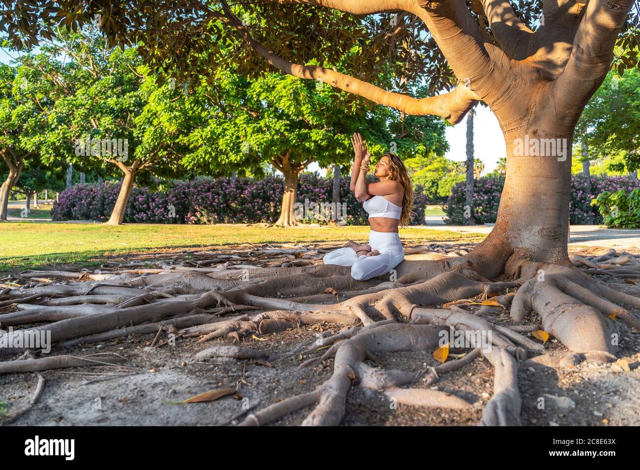 Reife Frau Mediating während sitzen auf Wurzeln im Park Stockfoto