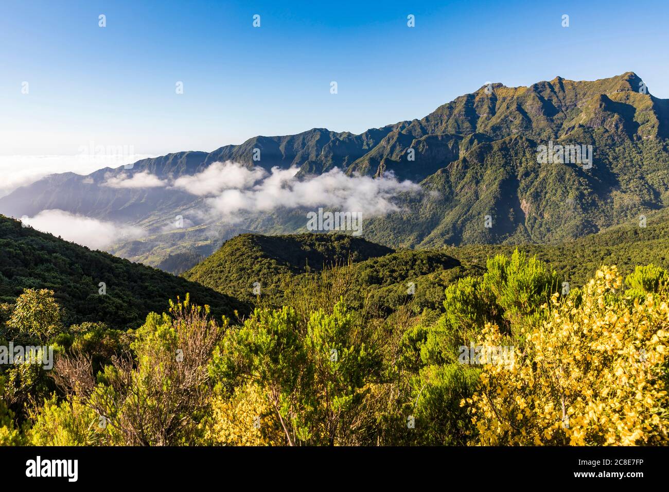 Portugal, Sao Vicente, bewaldete Bergtal im Sommer Stockfoto