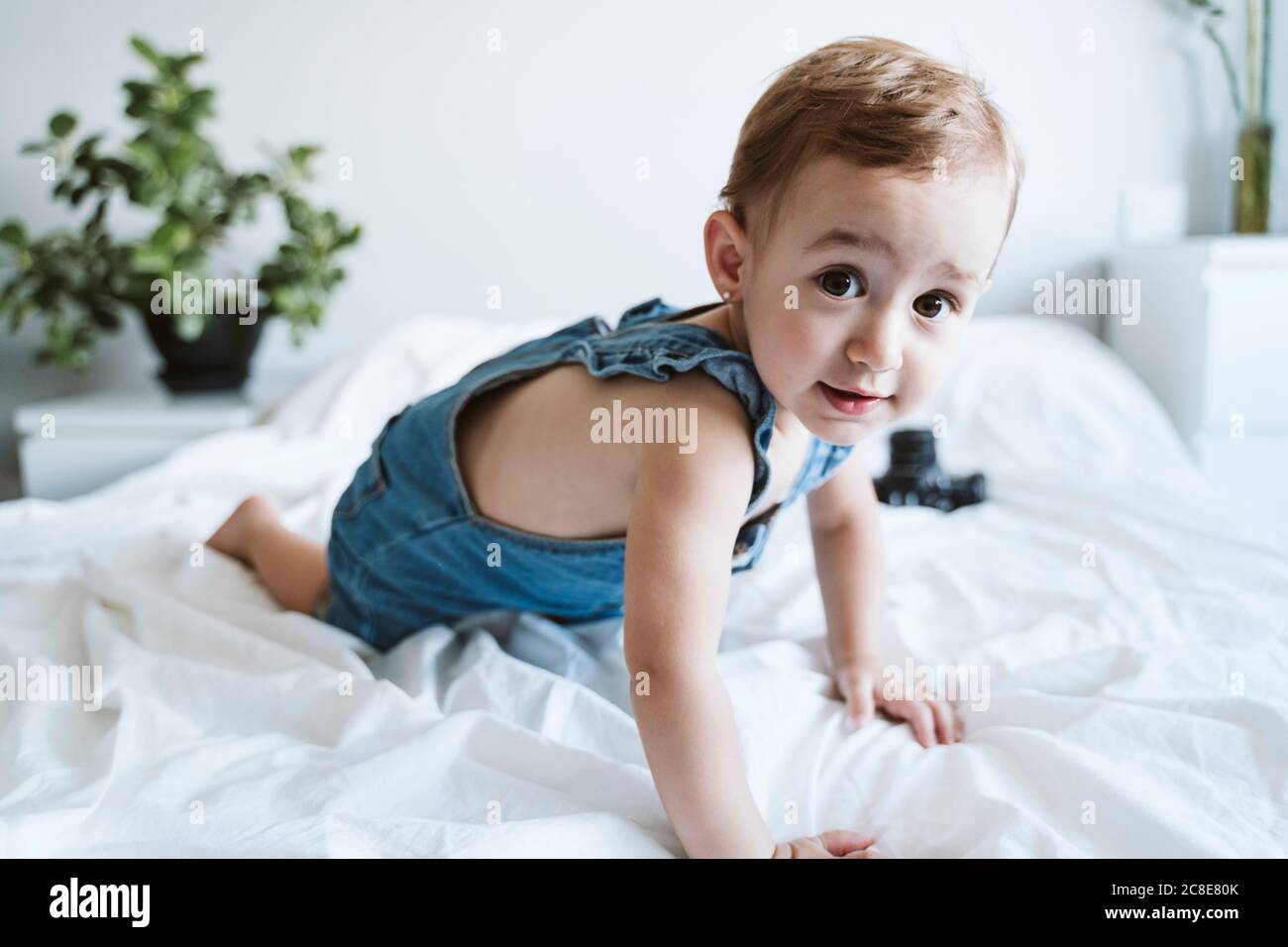 Babymädchen kriecht auf Bett Stockfoto