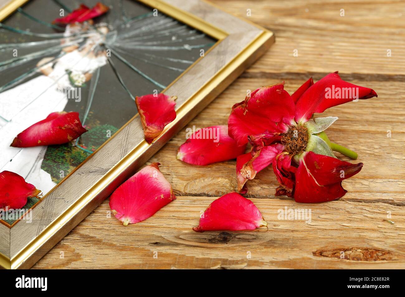 Verwelkte Rose und zerbrochene Hochzeitsbild Stockfoto
