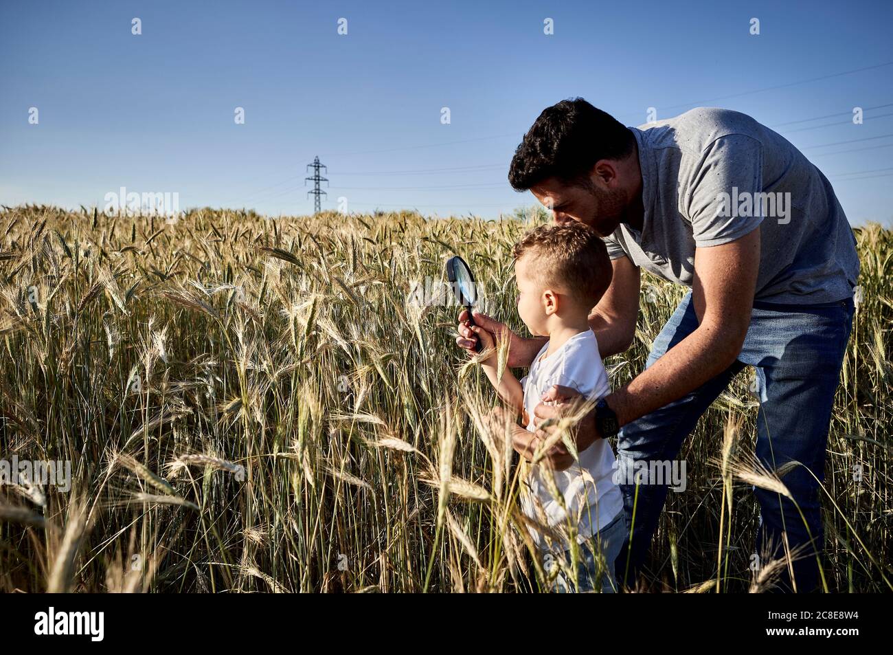 Vater und Sohn untersuchen Kulturen mit Lupe in der Landwirtschaft Feld gegen klaren Himmel Stockfoto