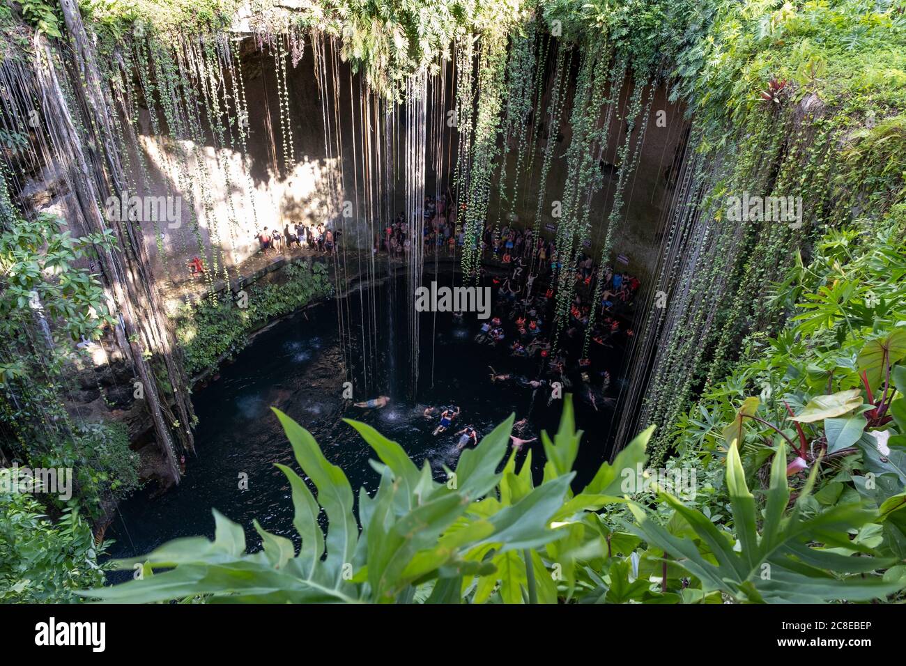 Das Ik Kil Cenote bei Chichen Itza auf der Yucatan Halbinsel in Mexiko Stockfoto
