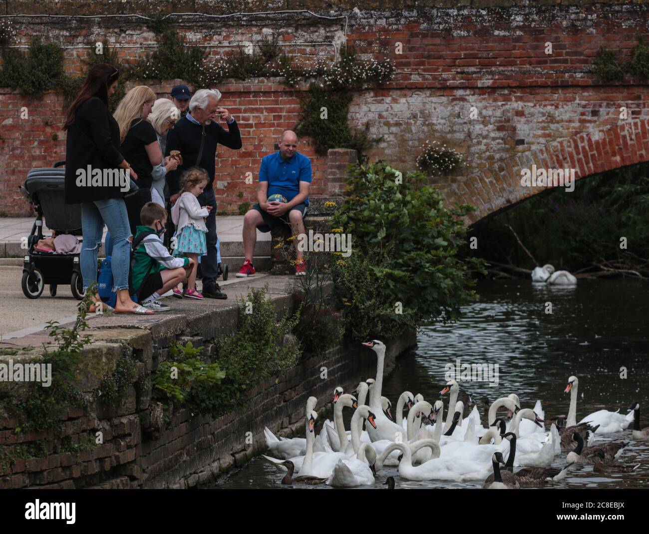 Stratford upon Avon Großbritannien 23 Juli 2020 Schwäne im Fluss Avon .Paul Quezada-Neiman/Alamy Live News Stockfoto