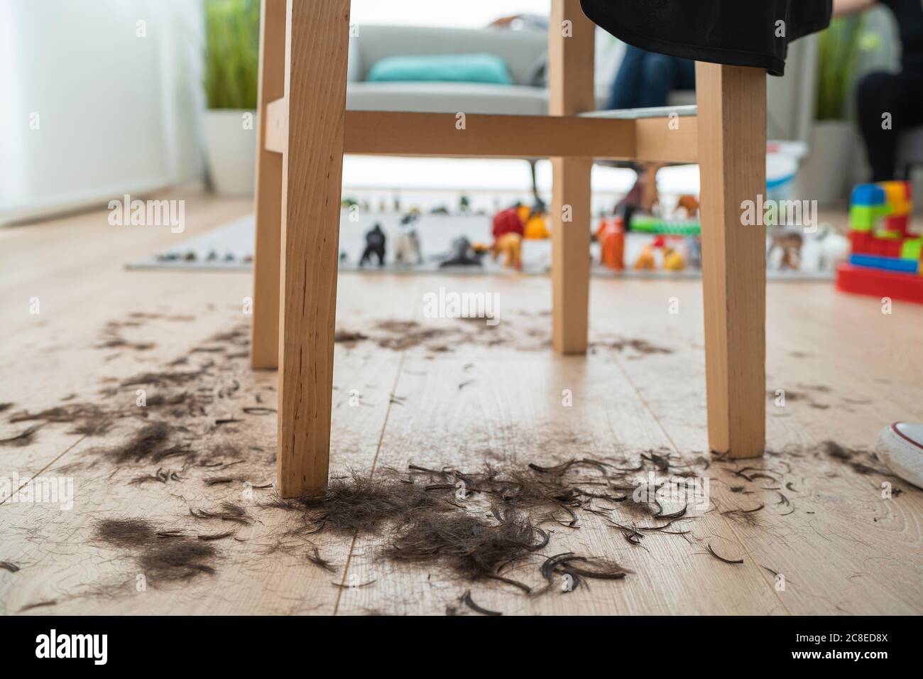 Nahaufnahme des Hockers mit Haaren auf dem Boden zu Hause Stockfoto