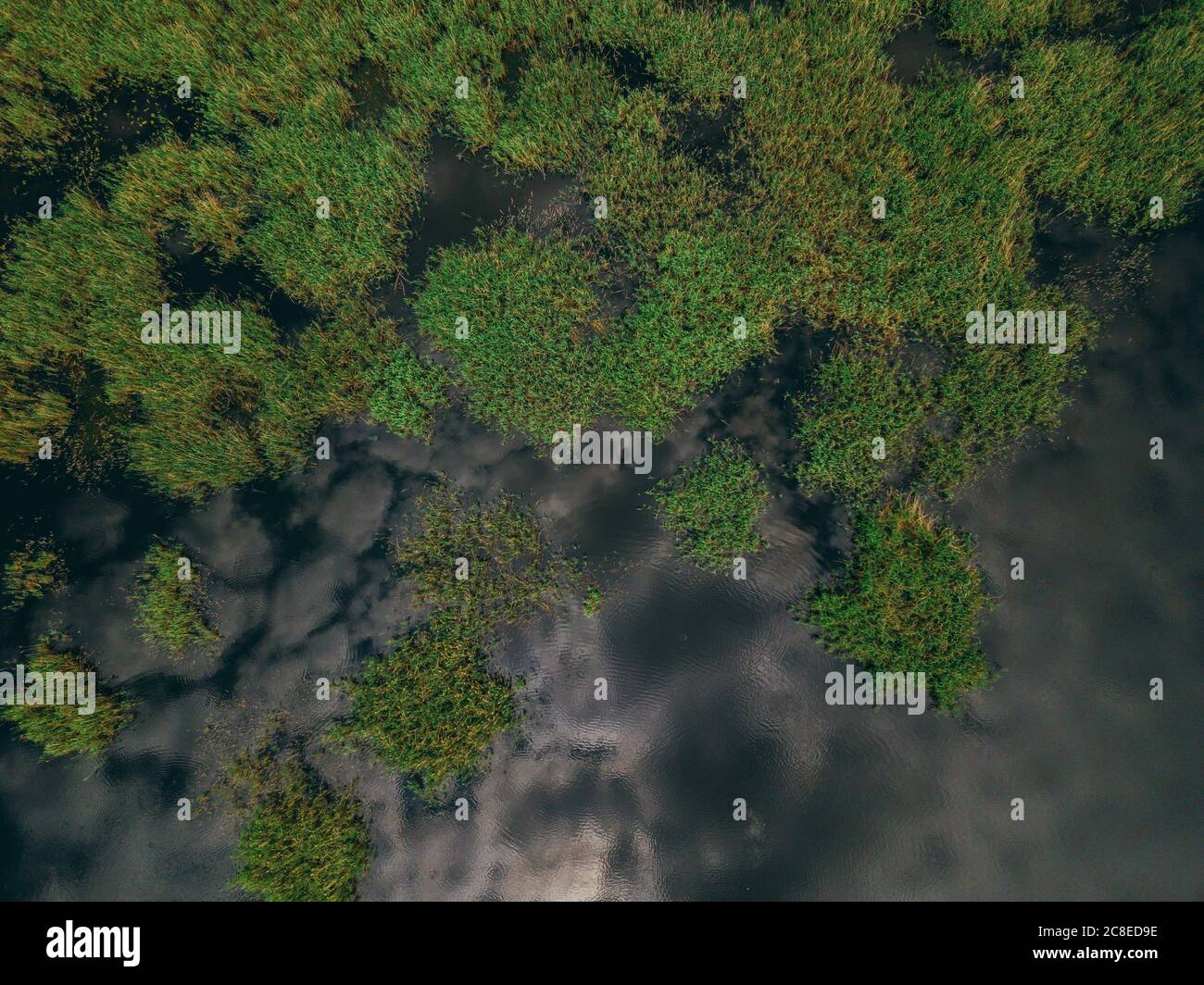 urwald-von-oben-stockfotos-und-bilder-kaufen-alamy