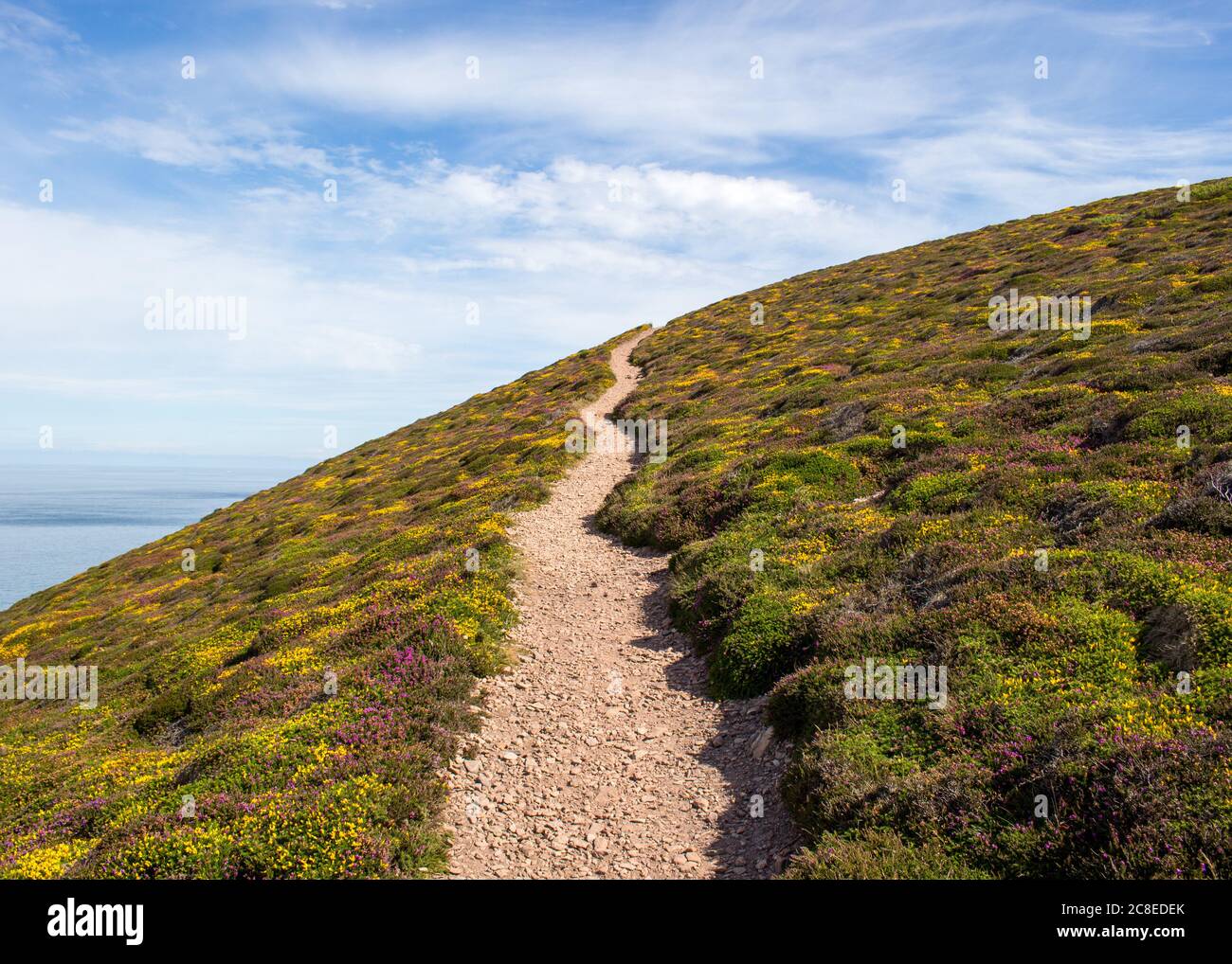 Die kornische Küste. Stockfoto