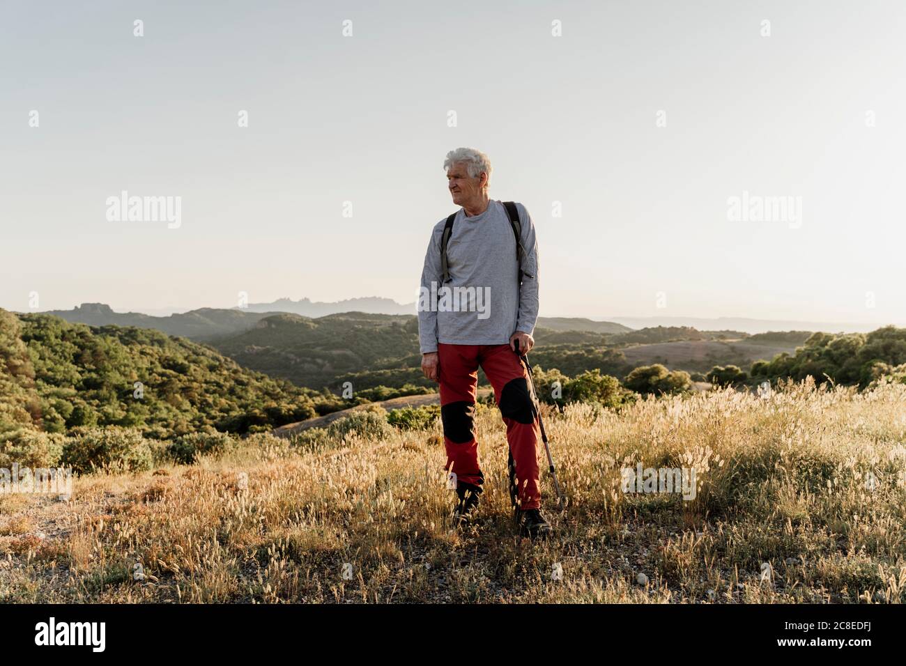 Älterer männlicher Wanderer, der wegschaut, während er mit Wanderstock steht Auf Pflanzen gegen klaren Himmel Stockfoto