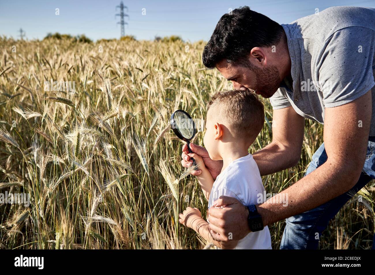 Vater und Sohn untersuchen Kulturen mit Lupe in der Landwirtschaft Ein Stockfoto