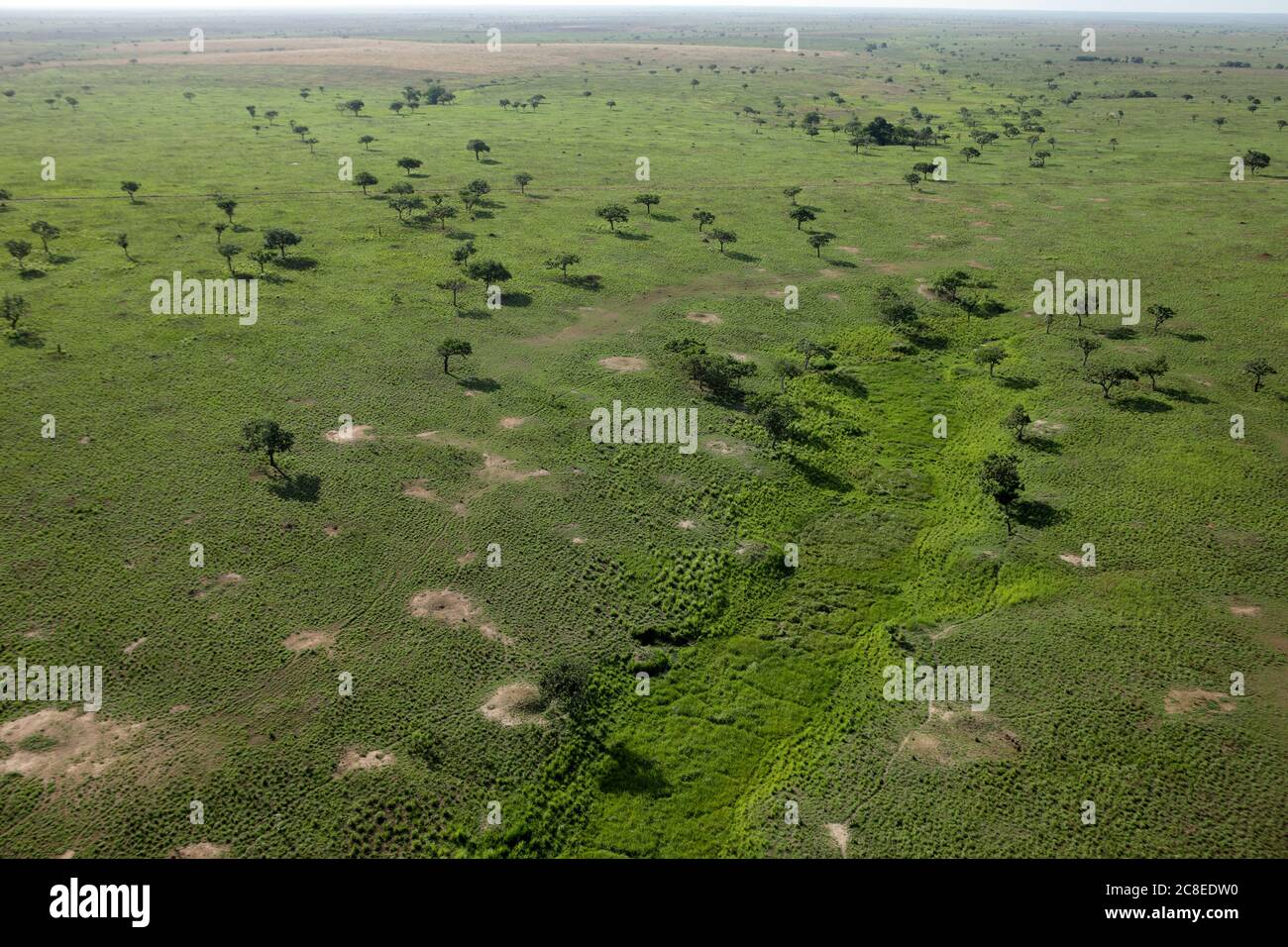 Demokratische Republik Kongo, Luftaufnahme der grünen Landschaft des Garamba Nationalparks Stockfoto