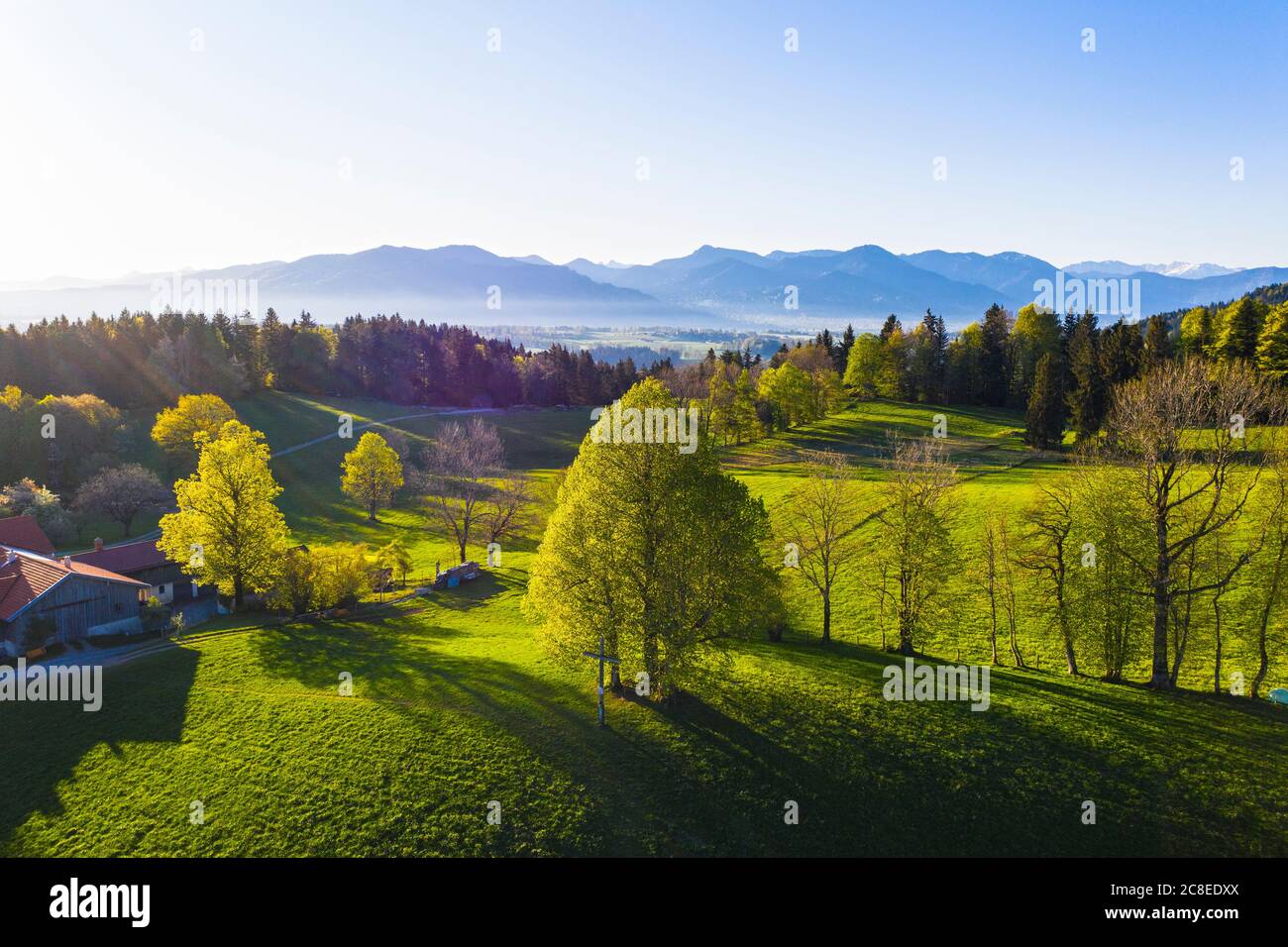 Deutschland, Bayern, Buchberg, Drohne Blick auf die grüne Landschaft bei nebligen Frühlingsaufgängen Stockfoto