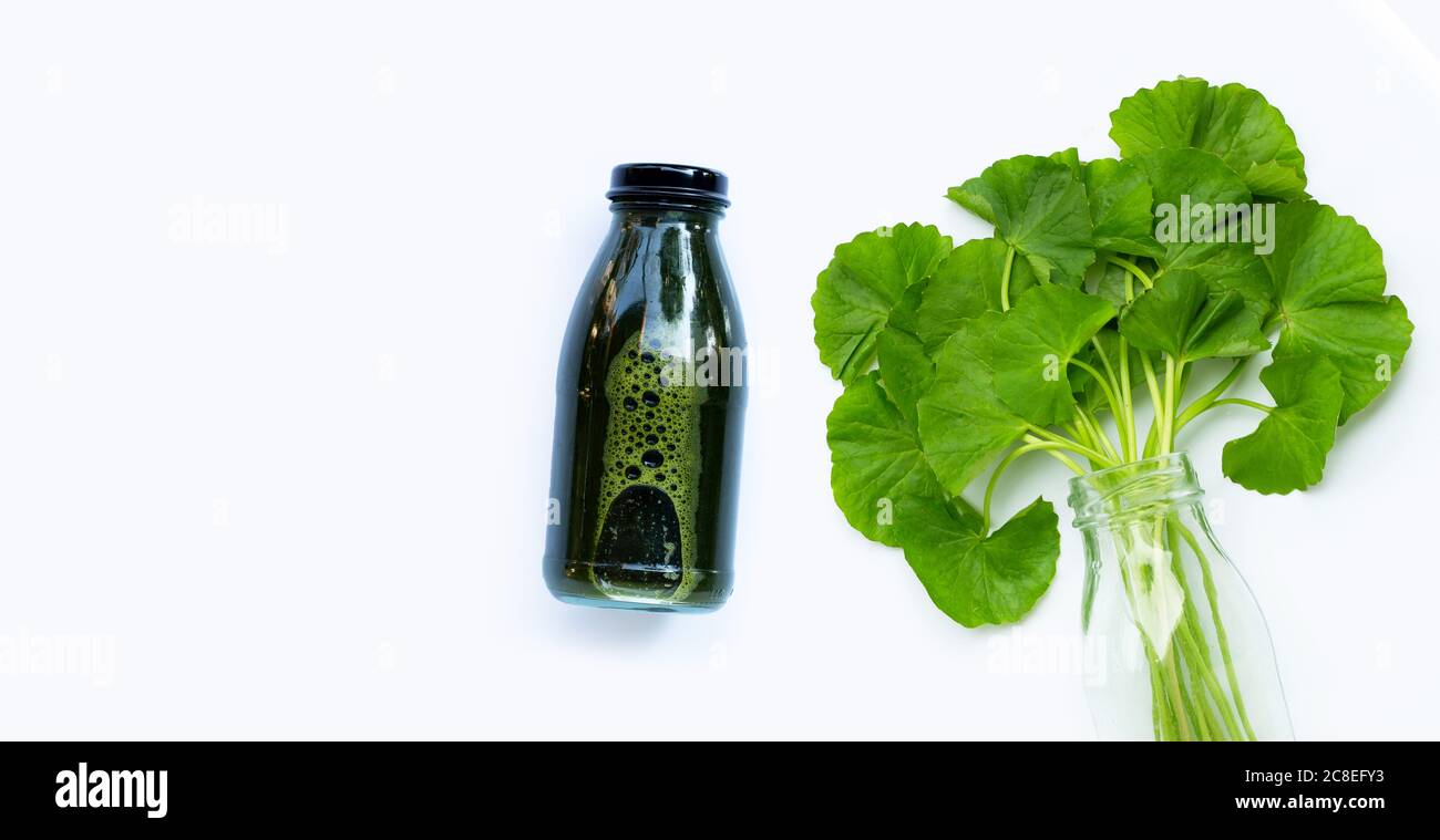 Gotu Kola Laubblätter Saft Getränk für die Gesundheit auf weißem Hintergrund Stockfoto