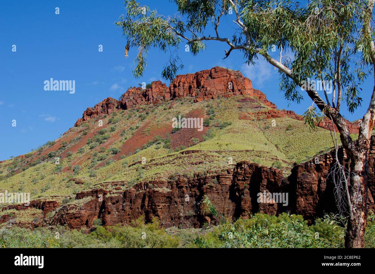 Outback Landschaft in abgelegener Landschaft Australien, mit roten Felsen Bergkette, grünen Busch, Baum und Sommer sonnig blauen Himmel als Hintergrund. Stockfoto