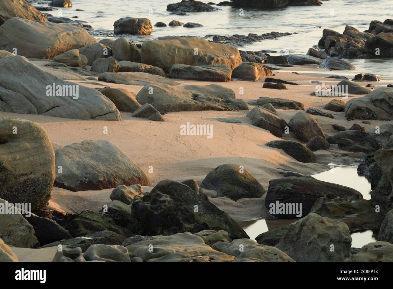 Landschaft, minimal, leer, Seeseite, Nahaufnahme, exponierter Meersand, Strandtidenbecken, Schönheit in der Natur, Durban, Südafrika, Küste, schön Stockfoto