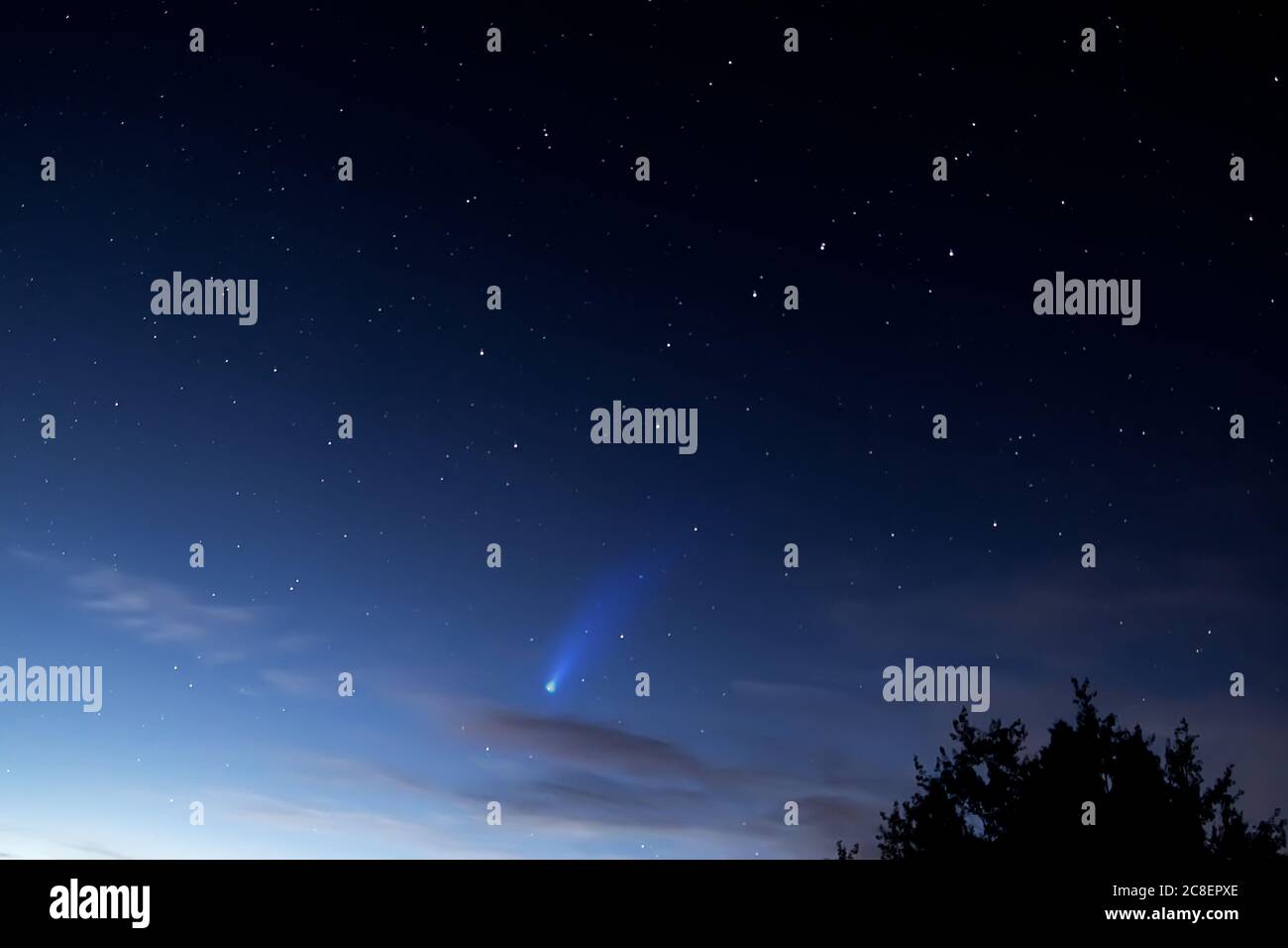 Komet Neowise am Nachthimmel. Astrofotografie - Meteor auf einem Sternenhintergrund. Selektiver Fokus, Körnung Stockfoto