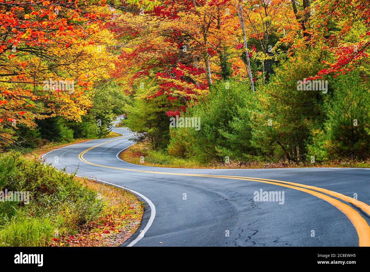 Kurvenreiche Straße Kurven durch die malerische Herbst Laub Bäume in New England. Stockfoto