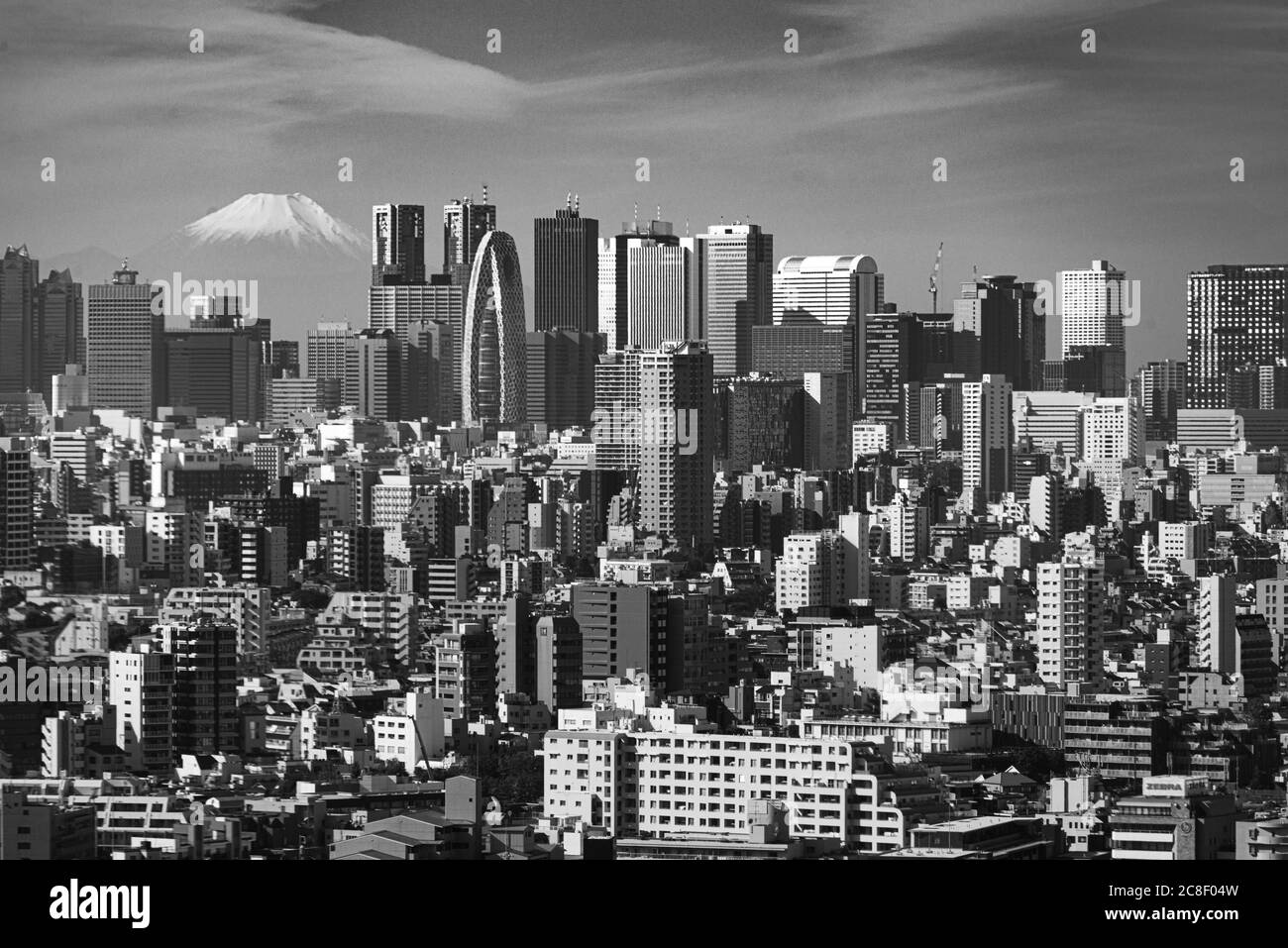 Schwarz-Weiß-Foto des Skylles von Tokyo mit dem Berg Fuji in der Ferne. Wolkenkratzer bilden die Stockfoto