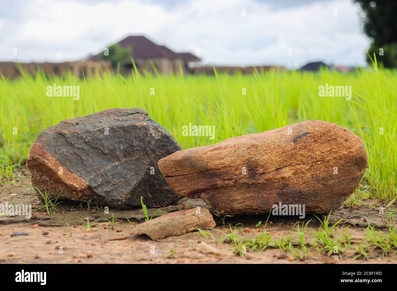 Dieses Bild zeigt zwei Felsen in einer Reisfarm. Stockfoto