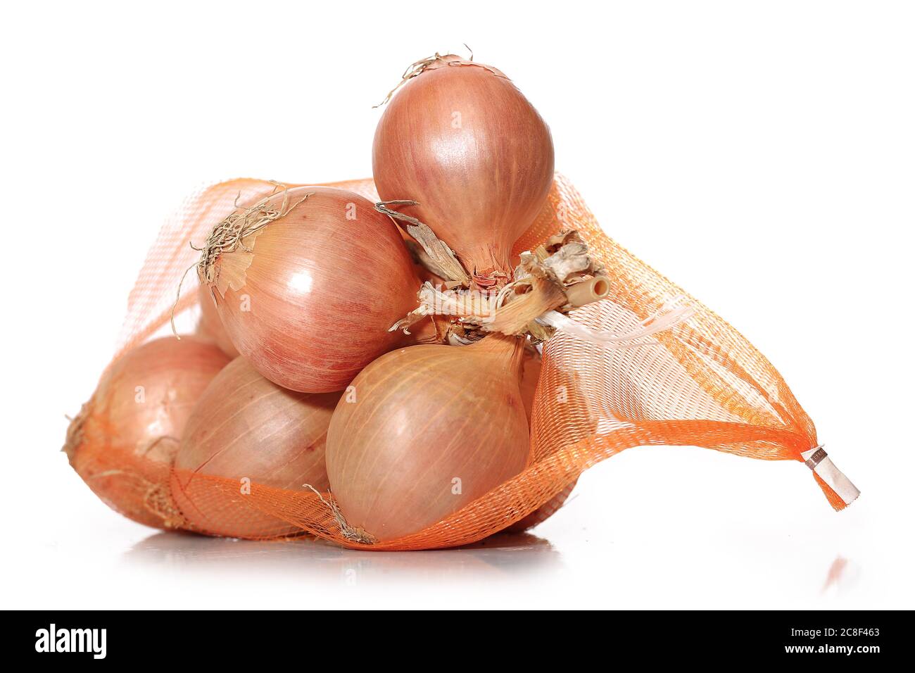 Zwiebel isoliert auf weißem Hintergrund, Stockfoto