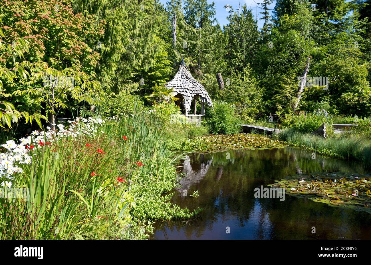 Tofino Botanischer Garten. Tofino, British Columbia, Kanada Stockfoto