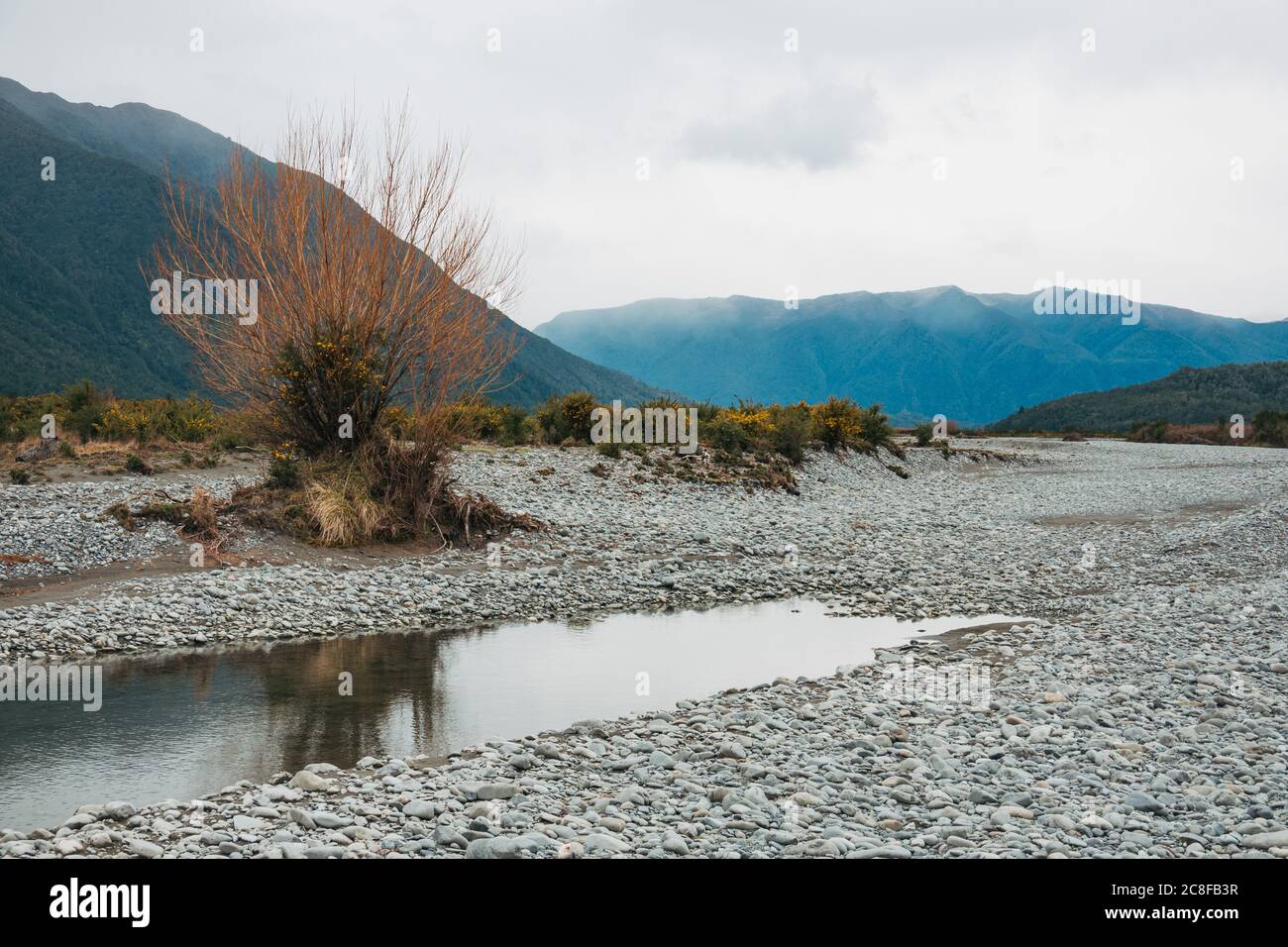 Der Ahaura River an einem bewölkten Tag an der Westküste der Südinsel, Neuseeland Stockfoto