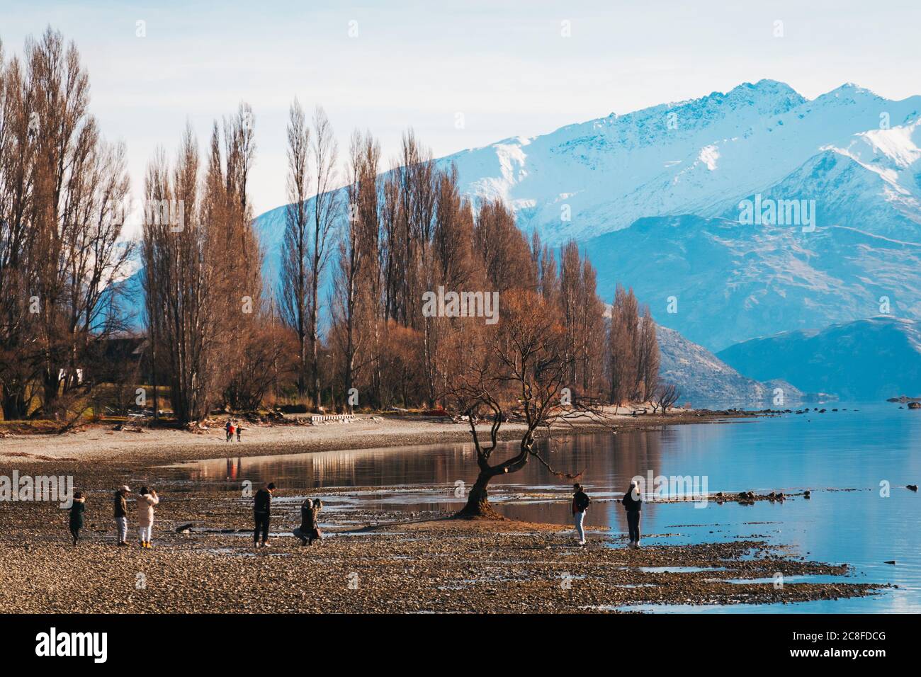 Touristen fotografieren den berühmten "Wanaka Tree" während niedriger Seeniveaus in Wanaka, Neuseeland Stockfoto