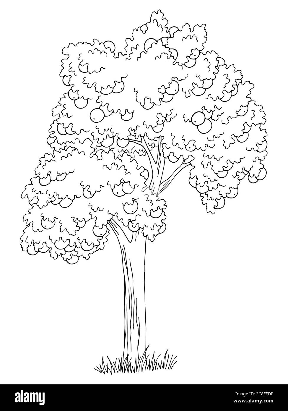 Apfelbaum Obst Grafik schwarz weiß isoliert Skizze Illustration Vektor Stock Vektor