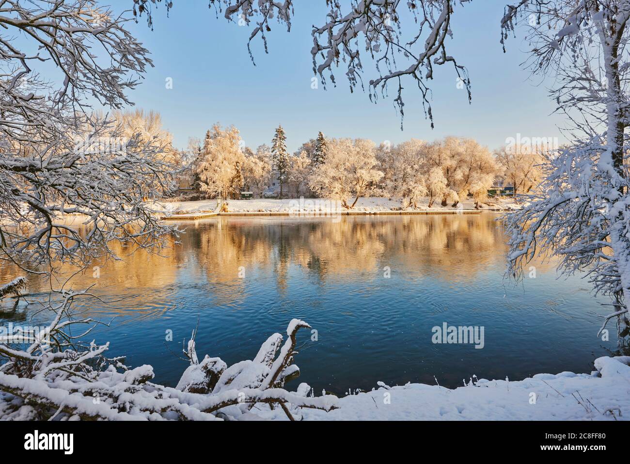 Donau mit verschneiten Bäumen im Winter, Deutschland, Bayern, Ratisbon Stockfoto