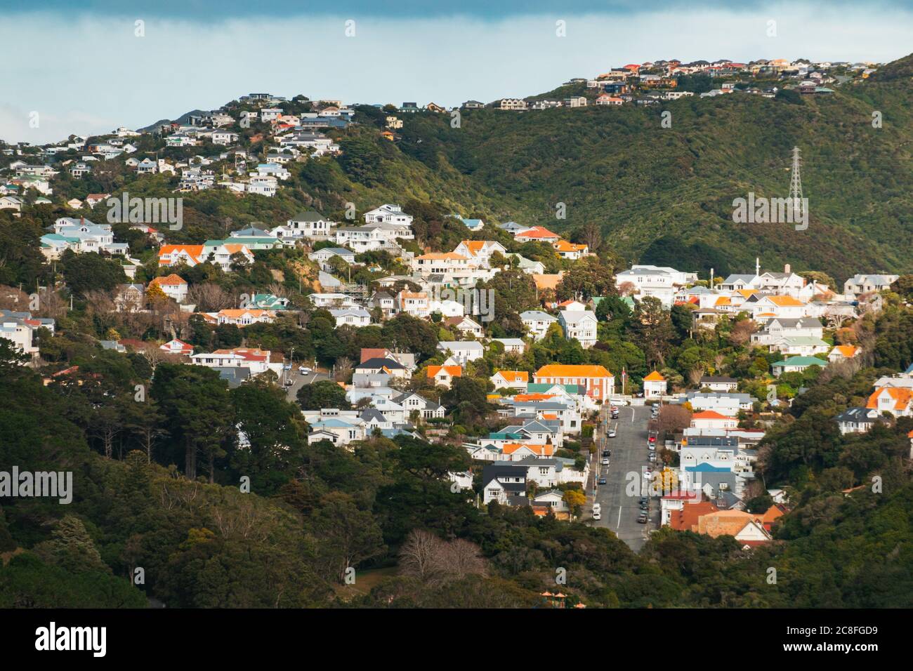 Der grüne Vorort von The Glen, Wellington, Neuseeland Stockfoto