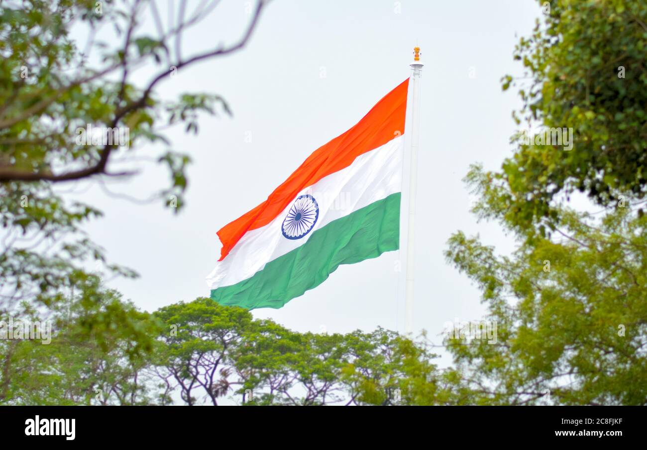 Indische Flagge winkt in der Luft am Unabhängigkeitstag Indiens. Ansicht der Flagge durch Baummuster Stockfoto