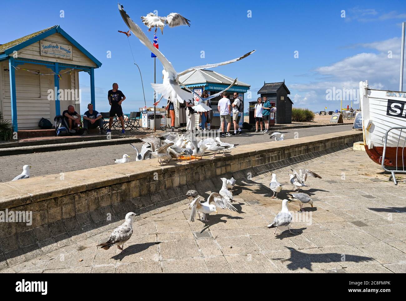 Brighton UK 24. Juli 2020 - Massen und Möwen strömen nach Brighton Strand mit Temperaturen prognostiziert, um 25 Grad in einigen Teilen des Südostens heute erreichen : Credit Simon Dack / Alamy Live News Stockfoto