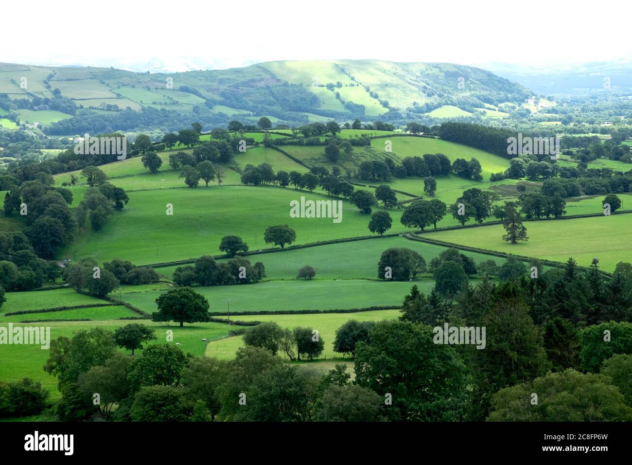 Blick auf walisische Bauernlandschaftslandschaft, Felder und Bäume im Sommer im Cwm Rhaeadr Tal bei Cily Cwm Carmarthenshire Wales Großbritannien KATHY DEWITT Stockfoto