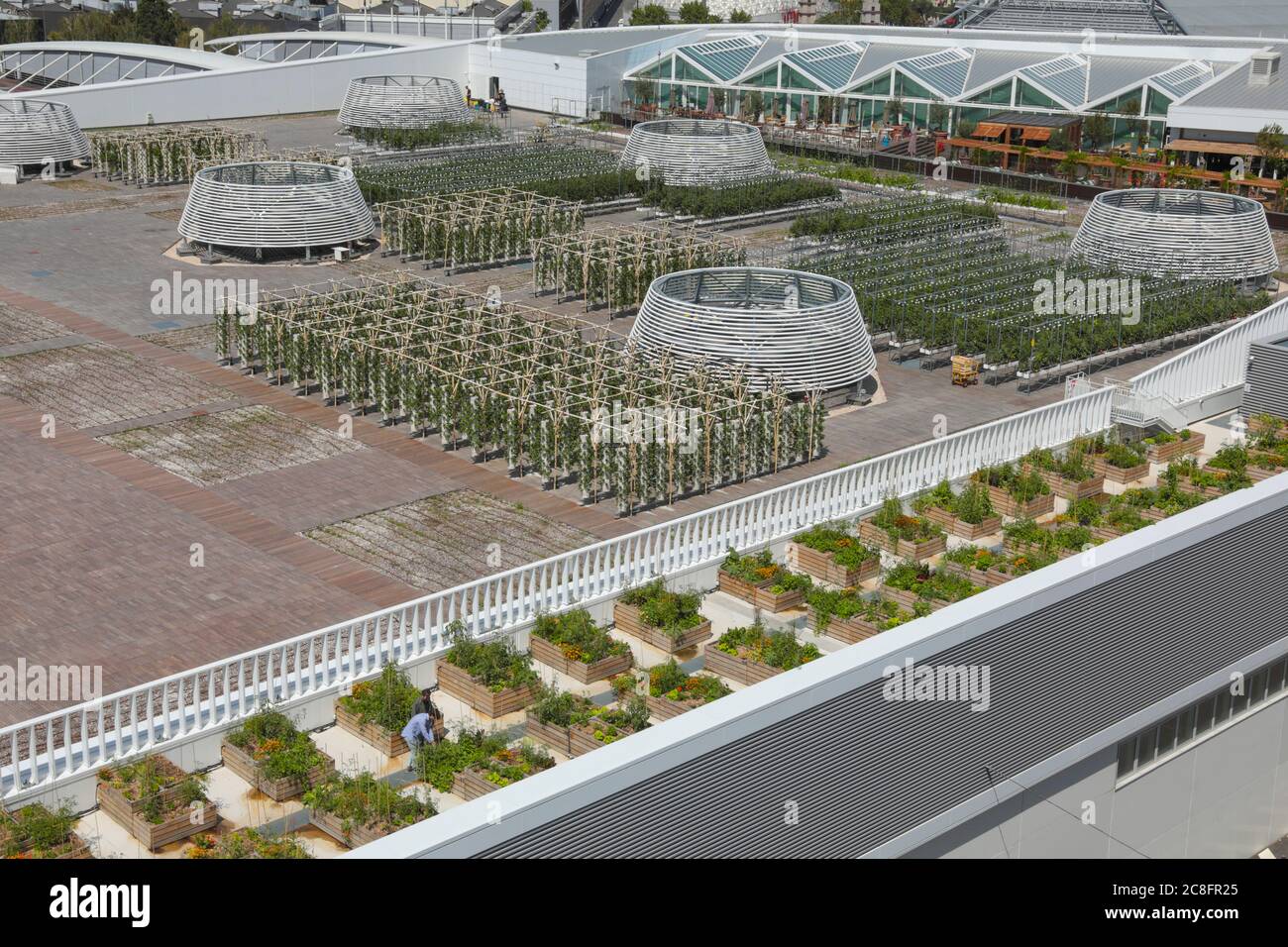 DIE GRÖSSTE STÄDTISCHE FARM DER WELT KOMMT AUF EIN PARISER DACH Stockfoto