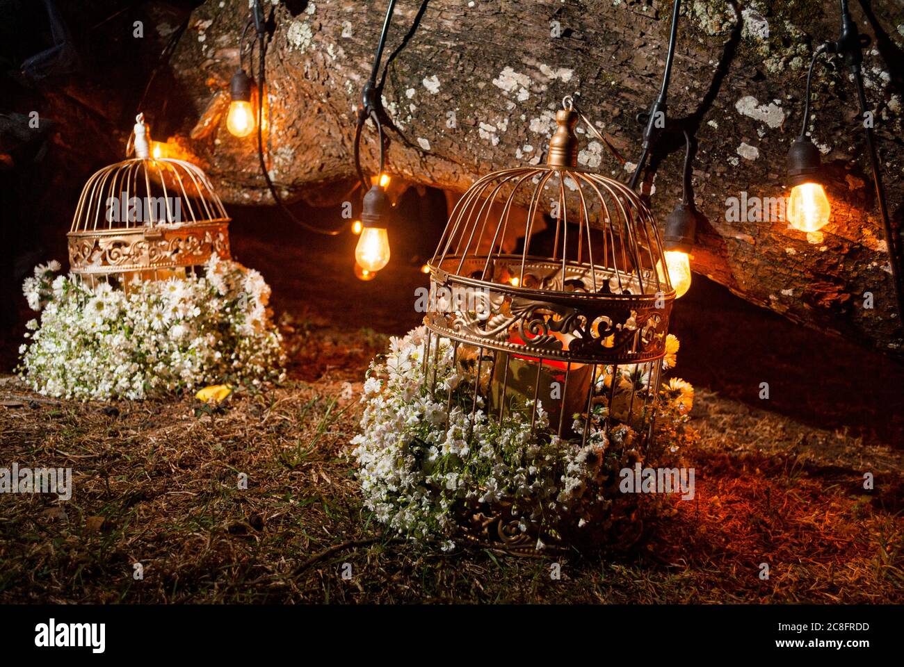 Nachtblumen Anordnung, ausgesetzt im Freien durch künstliches Licht umgeben, Käfige auf dem Boden platziert. Stockfoto