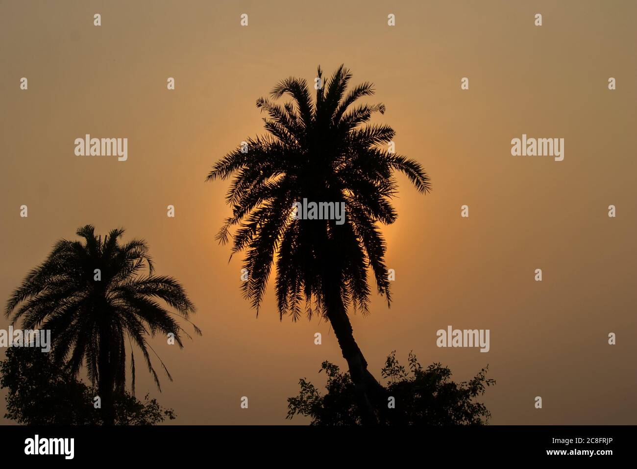 Ein atemberaubender Moment des Sonnenuntergangs schuf eine goldene Atmosphäre mit goldenem Licht. Stockfoto