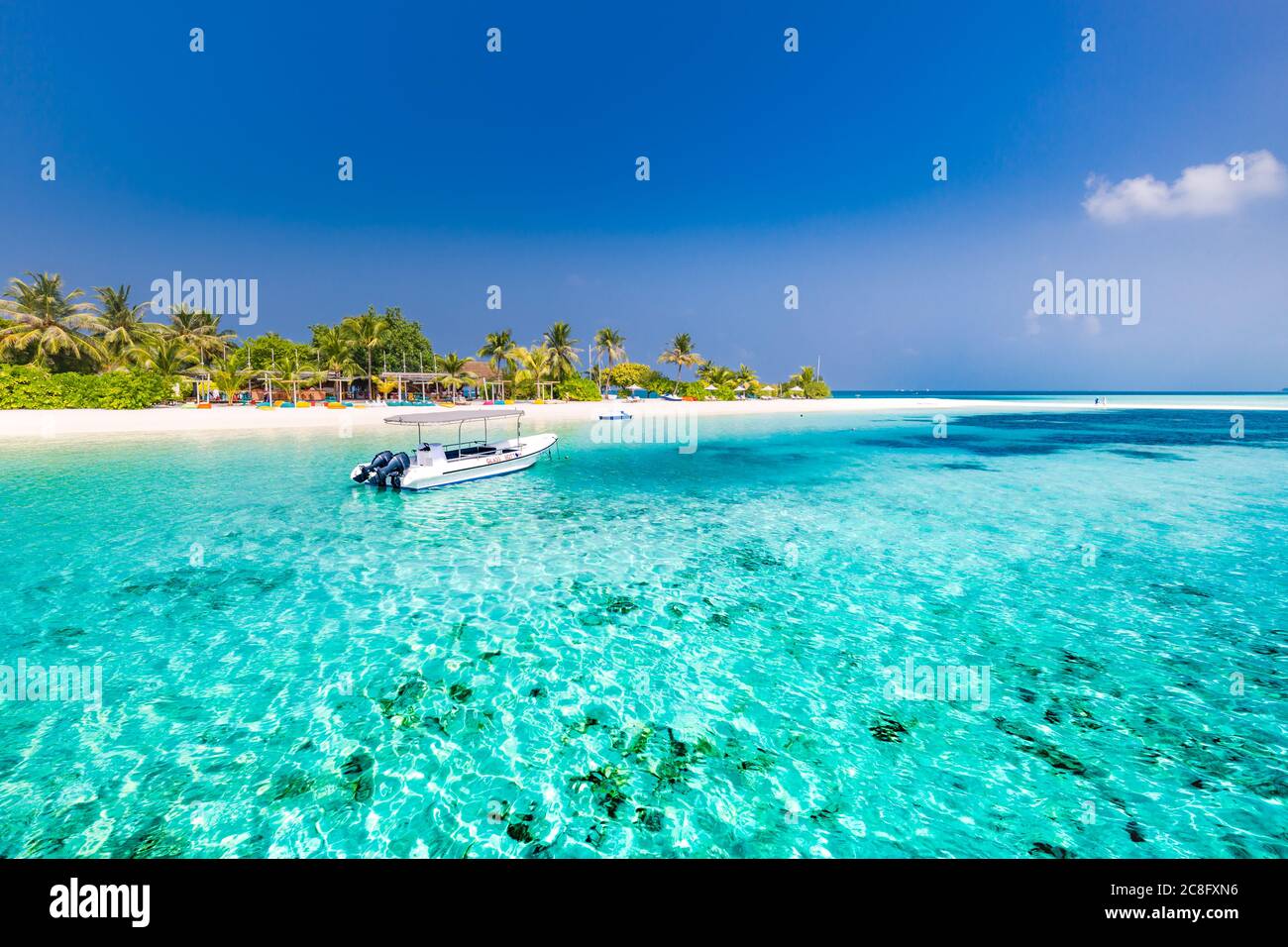 Atemberaubende Luftlandschaft auf den Malediven. Perfekter Blick auf das Korallenriff mit Kreuzfahrtschiff, Schnorchel und Tauchausflug von der Drohne aus. Exotische Landschaft Stockfoto