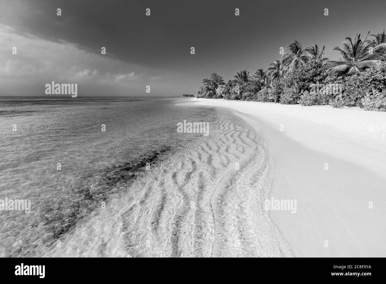 Schwarz-Weiß-Bild des tropischen Strandes. Küste der tropischen Insel. Schwarzweiß-Foto. Stockfoto