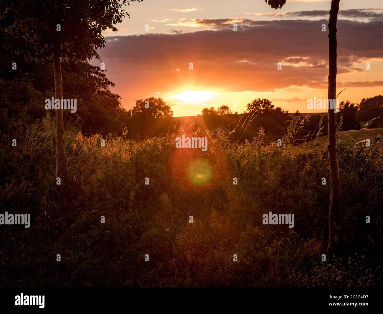 Sonnenuntergang Sonnenaufgang auf einem Getreidefeld auf der Insel Rügen mit einer Farm, Bäumen, Strohballen, roten Mohnblumen nach einem Gewitter Stockfoto