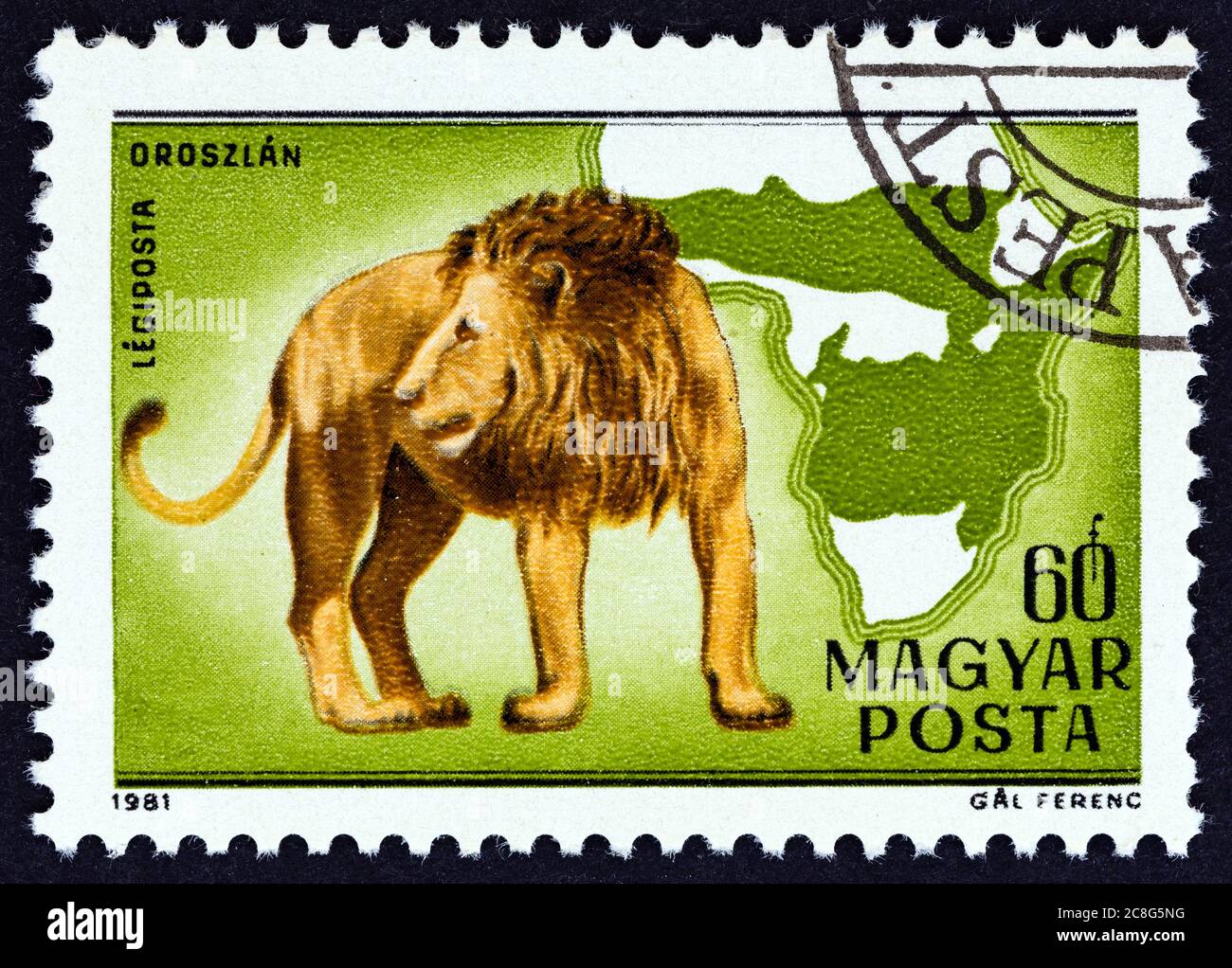 UNGARN - UM 1981: Eine in Ungarn gedruckte Briefmarke aus der Ausgabe 'Geburt des 100. Geburtstages von Kalman Kittenberger, Forscher und Zoologe' zeigt Lion. Stockfoto