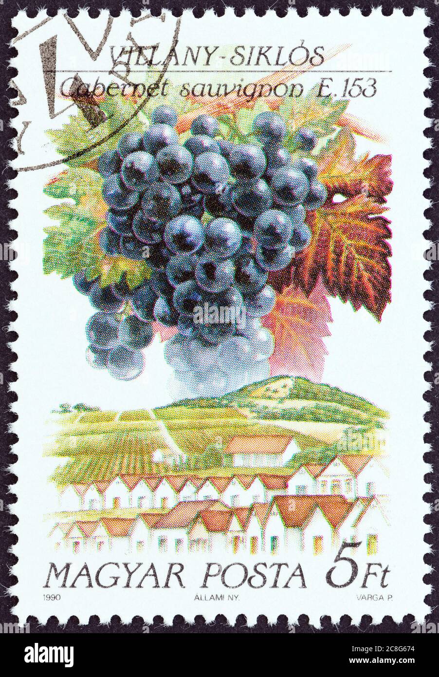 UNGARN - UM 1990: Eine in Ungarn gedruckte Marke aus der Ausgabe "Weintrauben und Regionen (1. Serie)" zeigt Cabernet Sauvignon, Villany, um 1990. Stockfoto