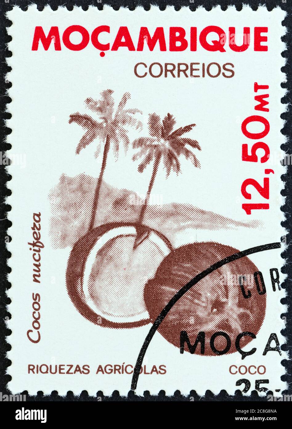 MOSAMBIK - UM 1981: Eine in Mosambik gedruckte Marke aus der 'Agricultural Resources' Ausgabe zeigt Coconut, um 1981. Stockfoto