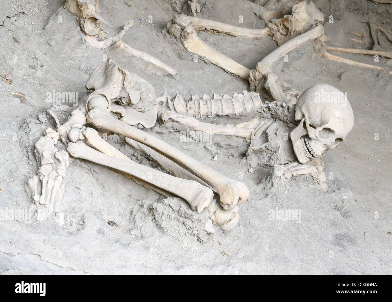 Skelette von Menschen, die durch den Ausbruch des Vesuvs im Jahre 79 n. Chr. getötet wurden, fanden sich in der römischen Stadt Herculaneum, Bucht von Neapel Stockfoto