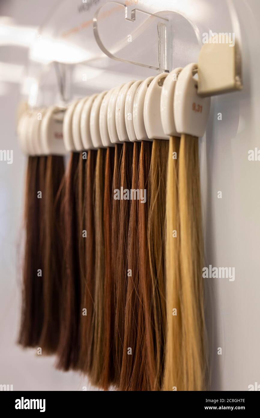 Muster mit Haarrissen, um die Haarfarbe beim Färben von Haaren im Friseursalon, Nordrhein-Westfalen, Deutschland zu wählen Stockfoto